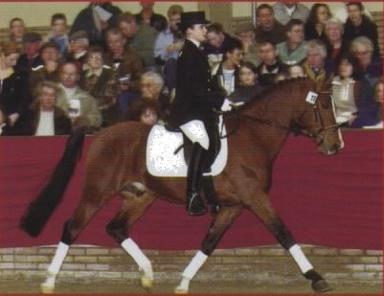 Prins Alfred (Sire Evelina-S)